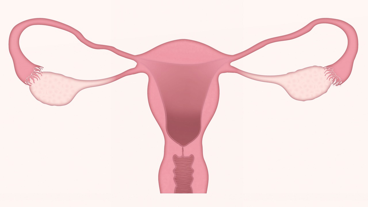 comment calculer les regles pour ne pas tomber enceinte